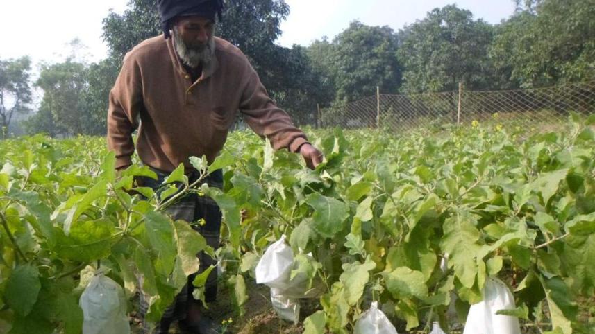 Eco-friendly bags.jpg