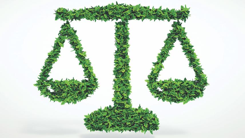 environmental law verdicts.jpg