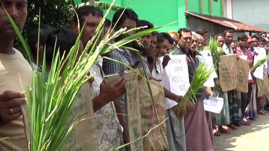 farmers cheated paddy seed 1.jpg