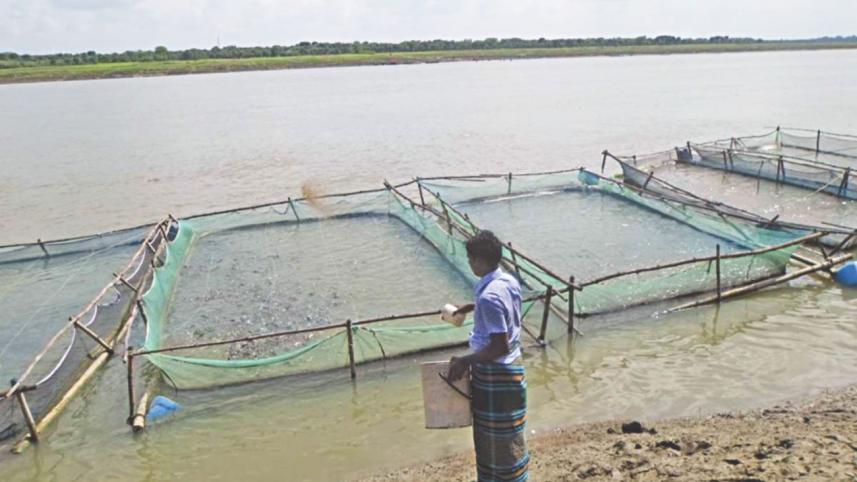 Fish farming cages.jpg