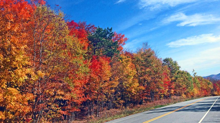 flaming colours 2.jpg