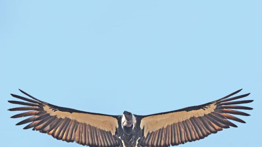 Friends from old days