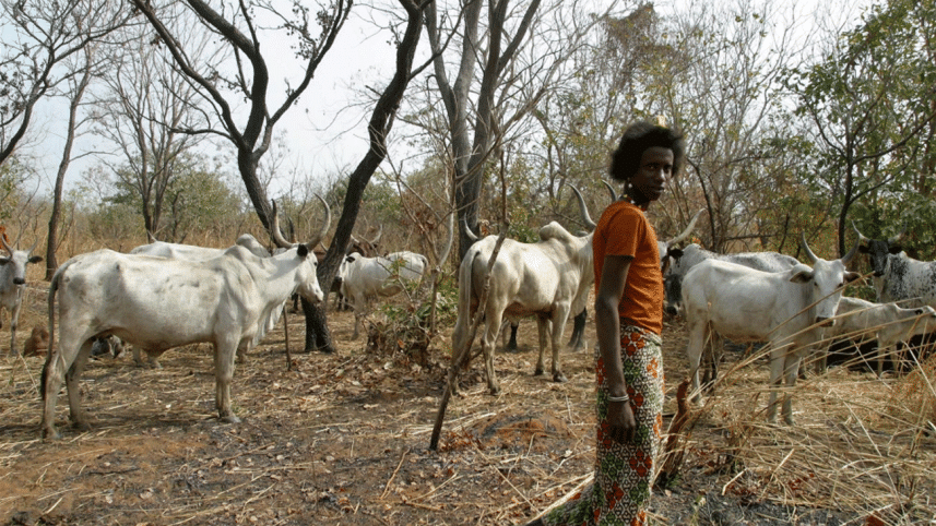 fulani-herdsmen2.gif