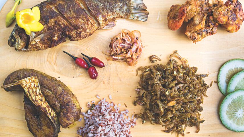 great fish debate 1.jpg