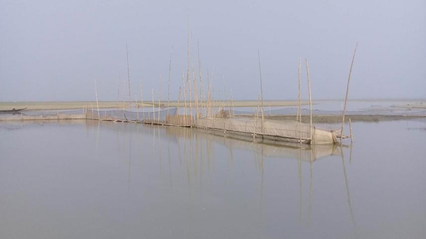 Hakaluki Haor fish.jpg