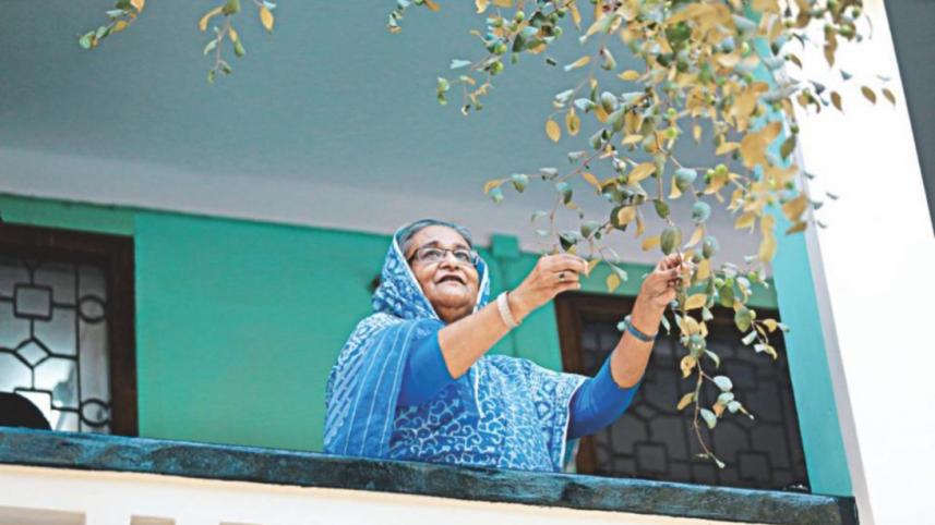 Hasina A Daughter's Tale