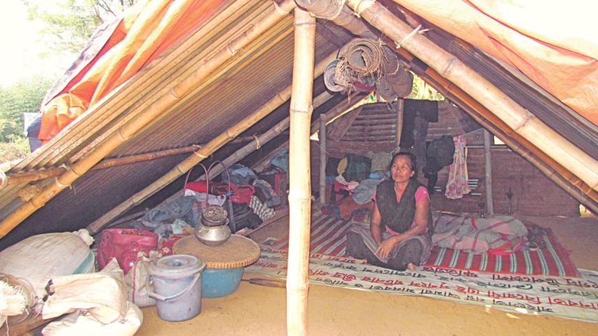 indigenous woman.jpg