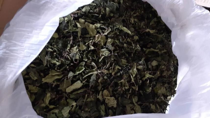 Customs seizes Ethiopian marijuana