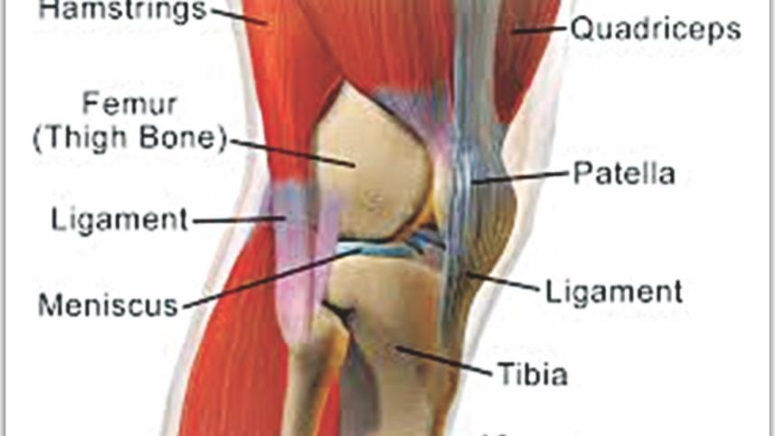 Know your knees
