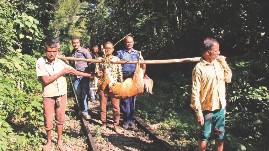 Lawachhara forest 1.jpg