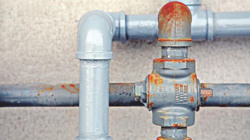 Monkeys and Monsters