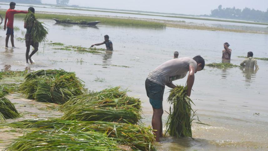 Moulvibazar-flood-pic-web.jpg