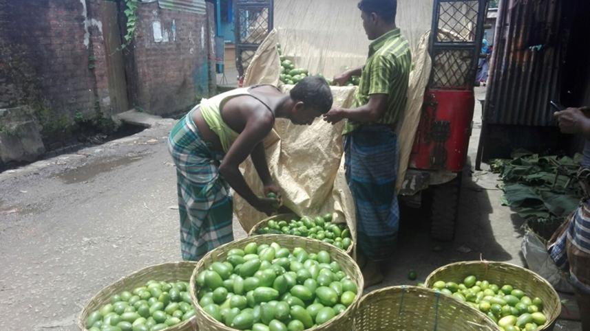 Moulvibazar-lemon-growers.jpg