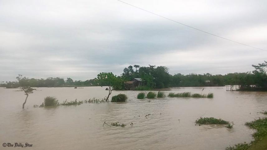Moulvibazar Boro paddy pic (2).jpg