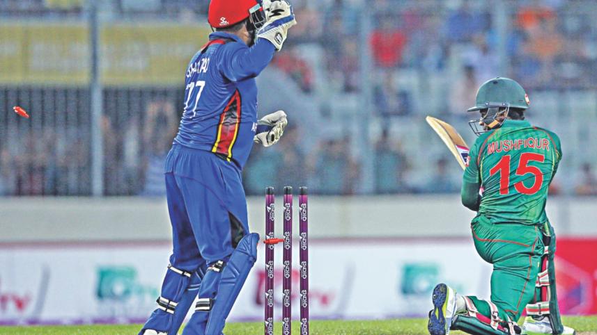 mushy bold by rashid.jpg