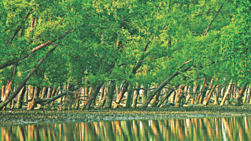 nature-based solutions.jpg