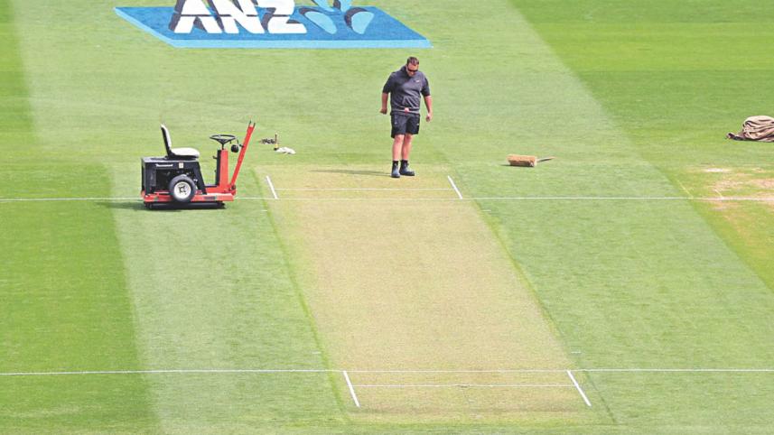 nz green pitch.jpg