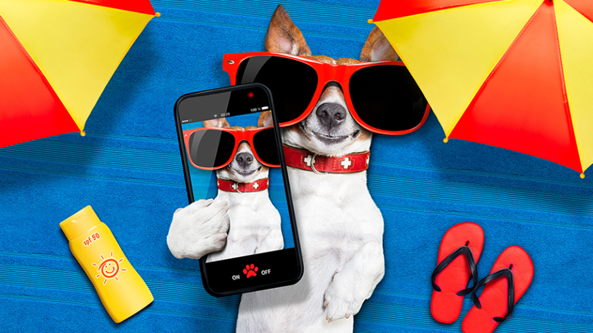 personal branding.png