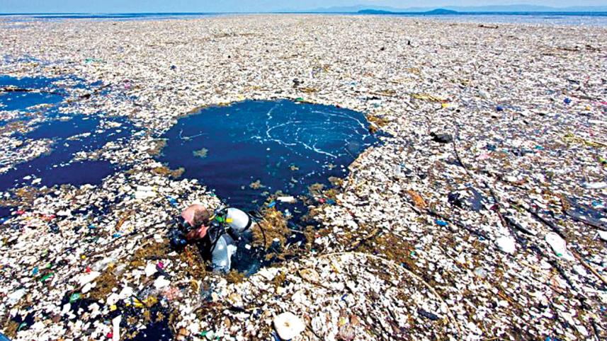 plastic pollution.jpg