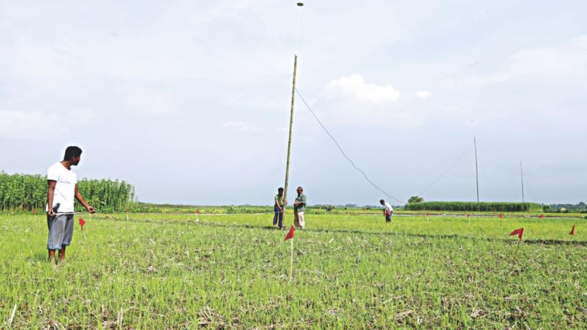 Protecting farmers lightning.jpg