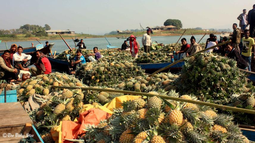 Rangamati-pineapple-photo-(2).jpg