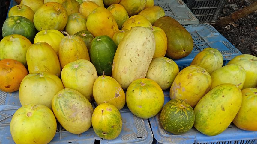 Rangmatai Chinal Photo (1) (1).jpg