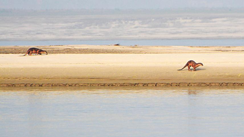 river country of Bangladesh 1.jpg