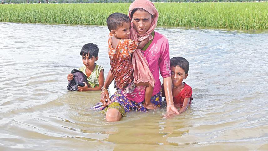 rohingya crisis.jpg