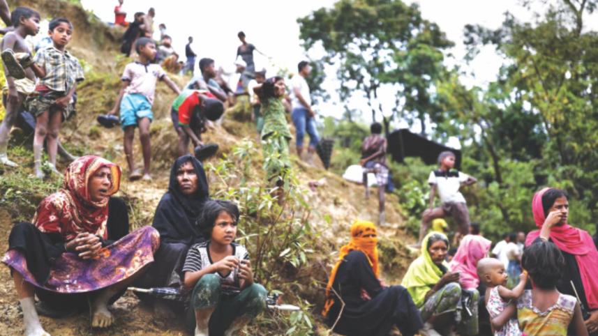 Rohingyas damage forest.jpg