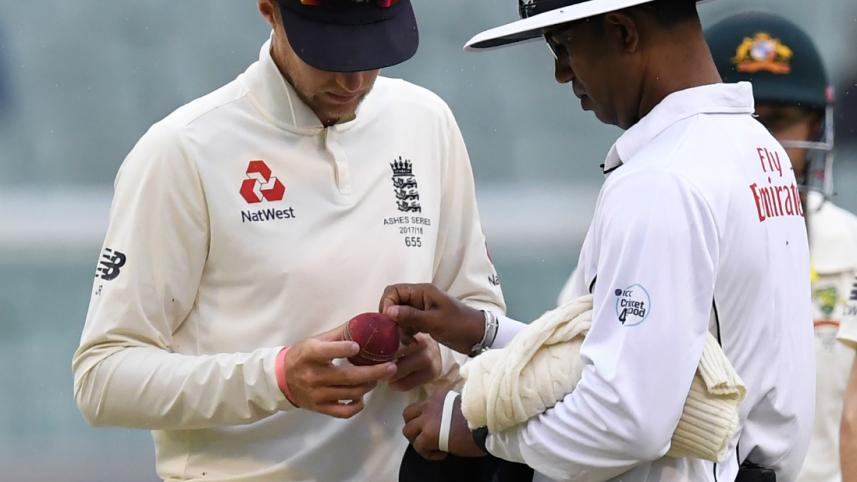 Root and Umpire.jpg