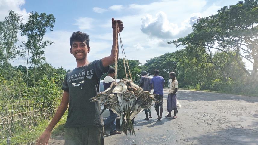 Sale of wild birds.jpg