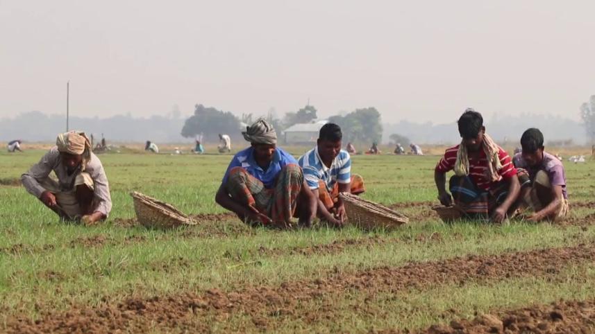 Spiralling price lifts.jpg