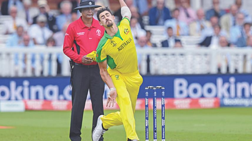 starc.jpg