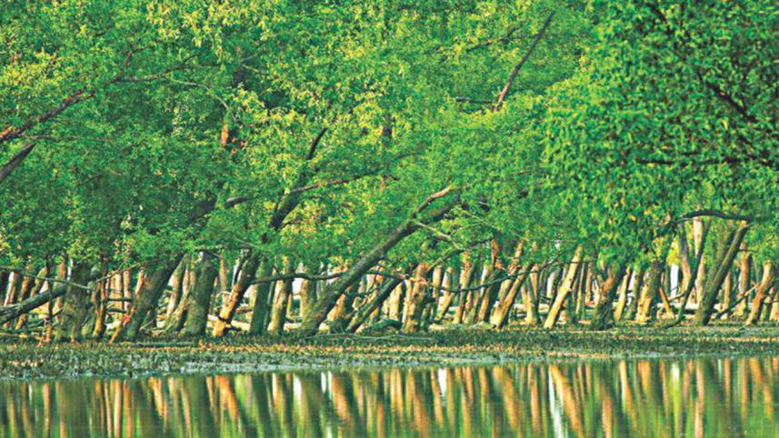 sundarban_0.jpg