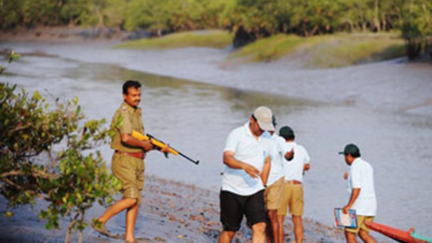 sundarbans-afp.jpg