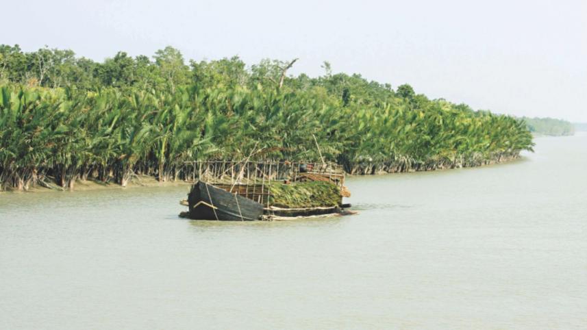 sundarbans.jpg