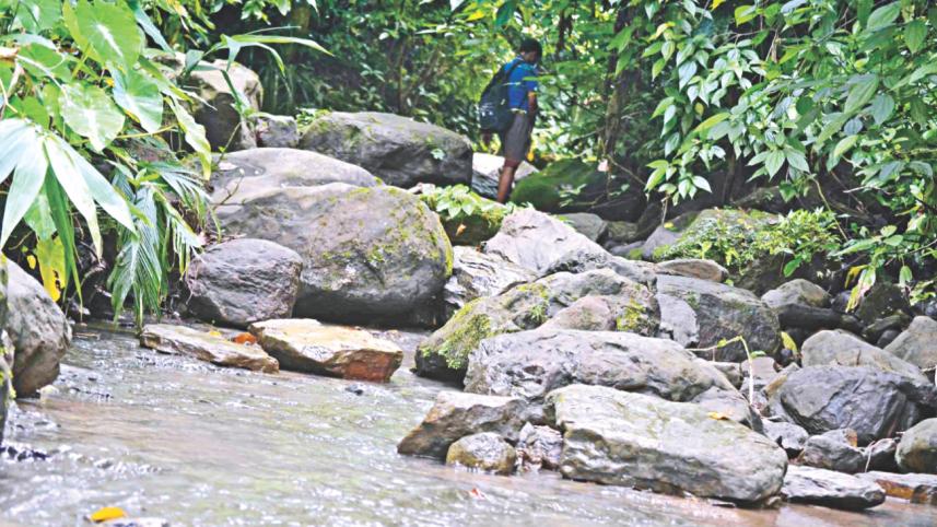 sylhet waterfalls 2.jpg