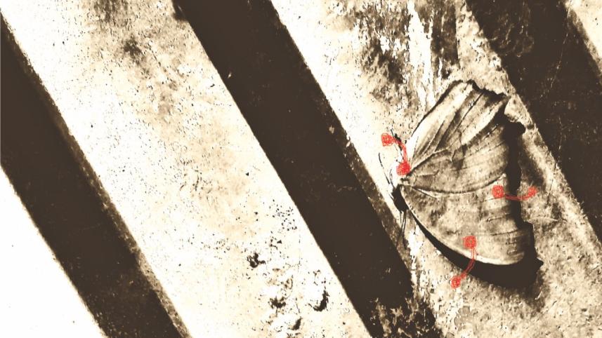 Talking to children about sexual abuse