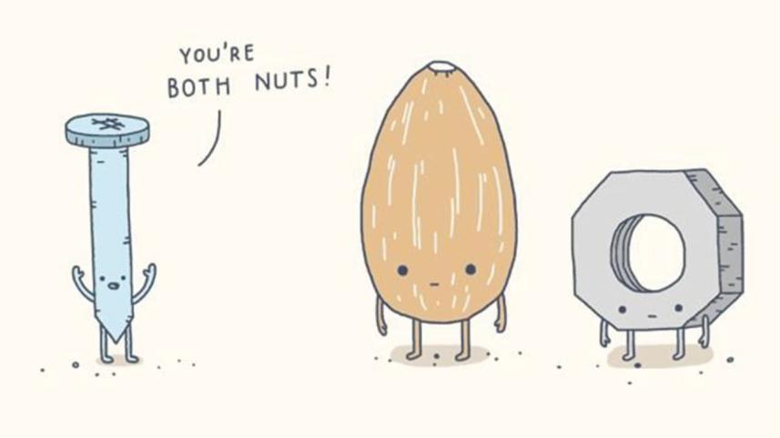 The evolution of jokes