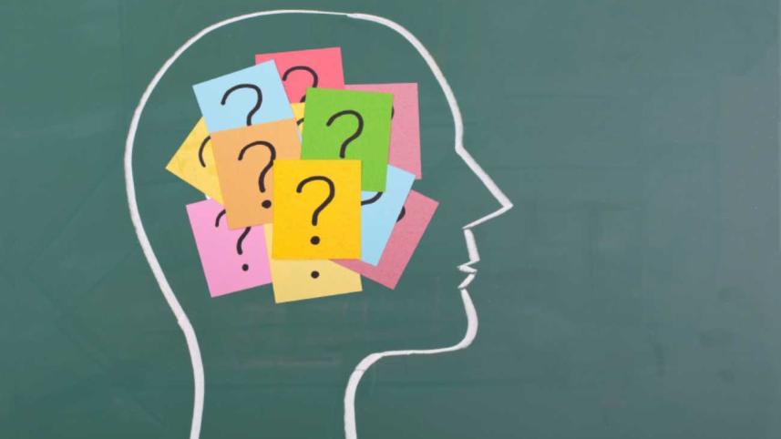 The humble economist