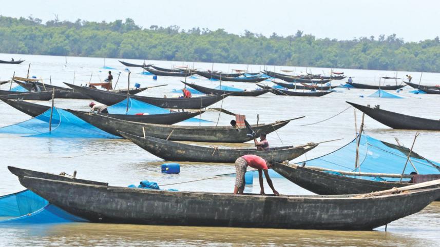 The Invisible Victims of “Development”