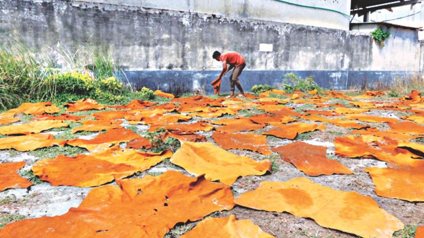 This Time Dhaleshwari