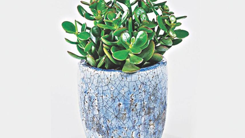 Unconventional New Year's resolutions