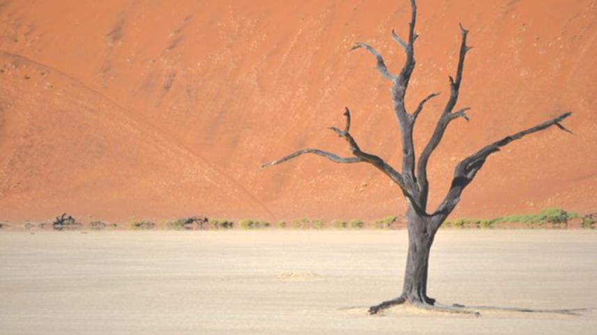 University without a campus