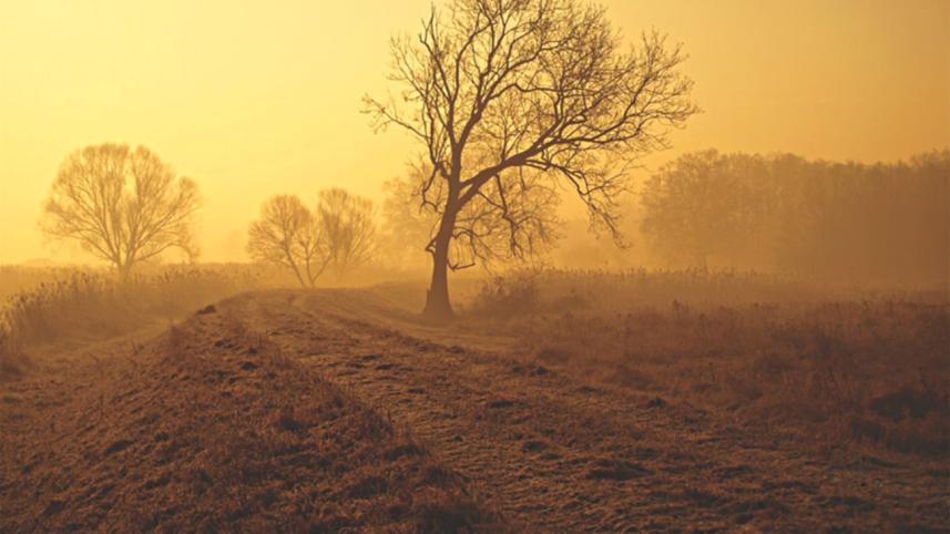 Winter, Grief, and Glee