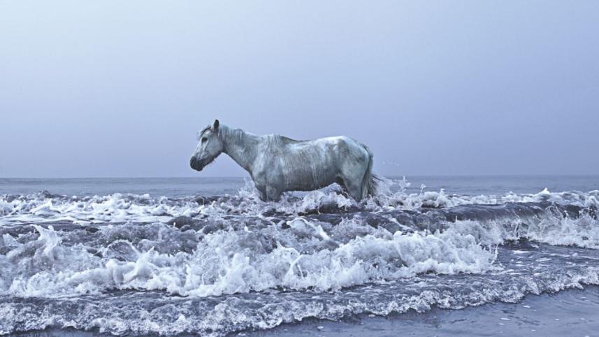 World Photography Day