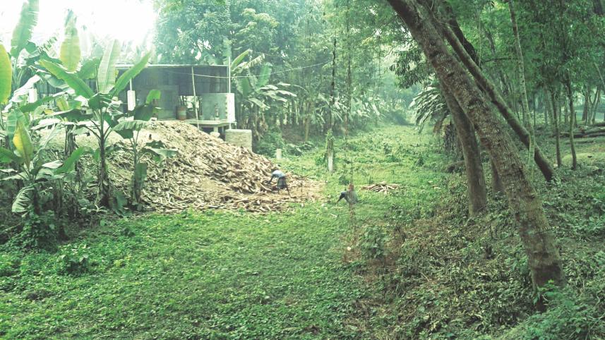 Zia Khal in Jhenidah.jpg