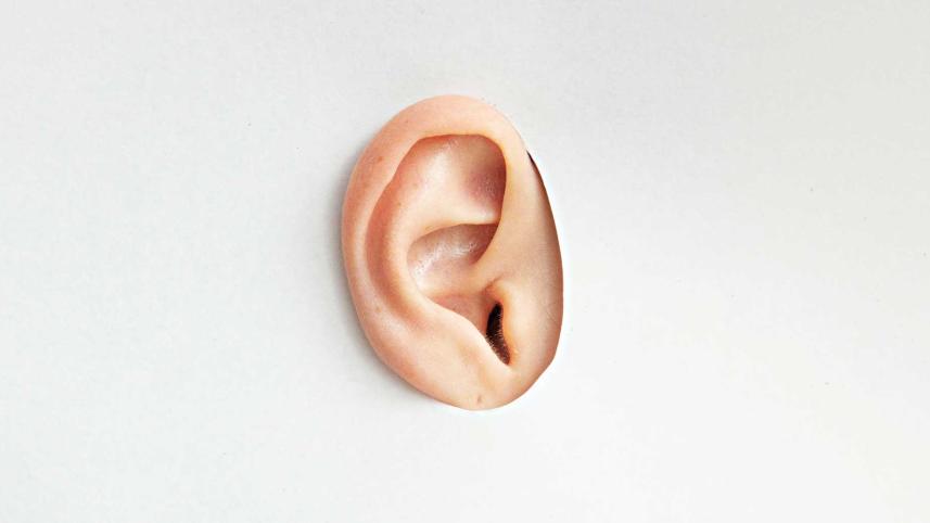 ear.jpg