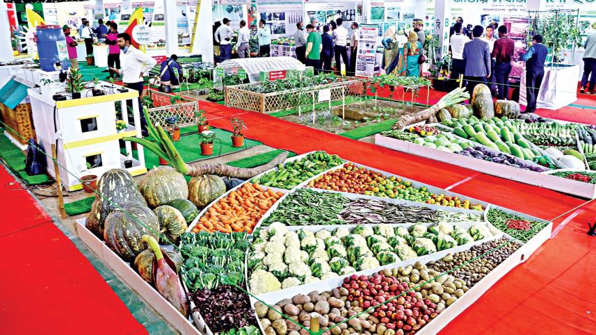 vegetable-fair-1.jpg