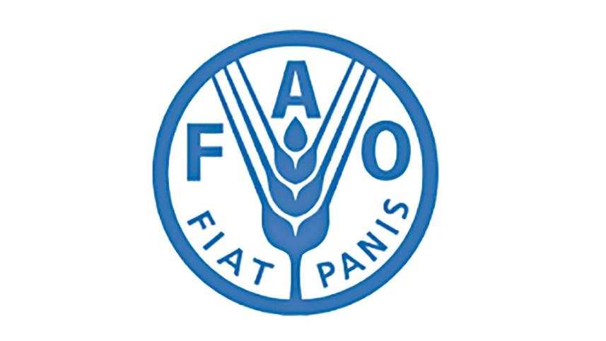 fao_logo.jpg